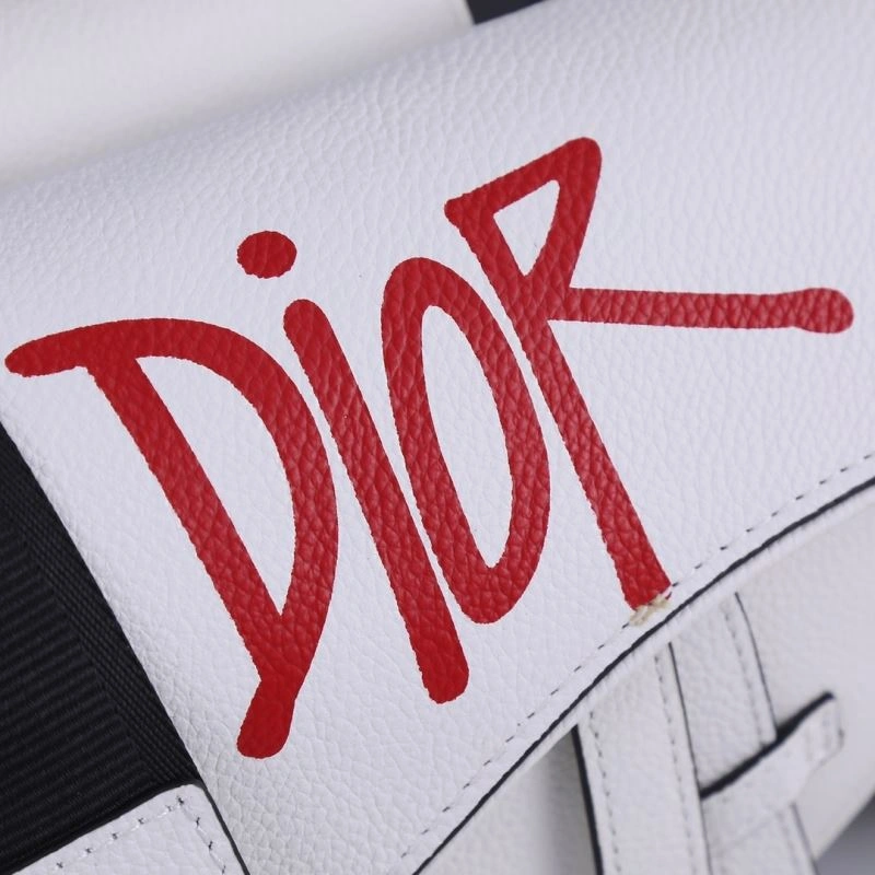 Christian Dior Saddle bags GoAnywhere 85694