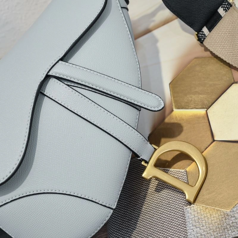 Christian Dior Saddle bags Minimalist 85691