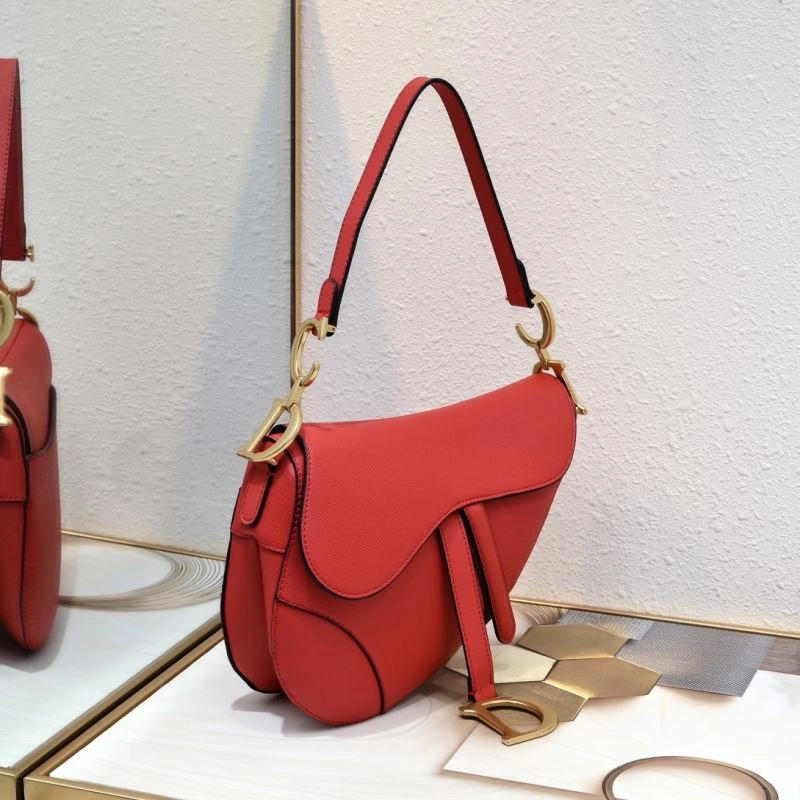Snug Christian Dior Saddle bags 85686