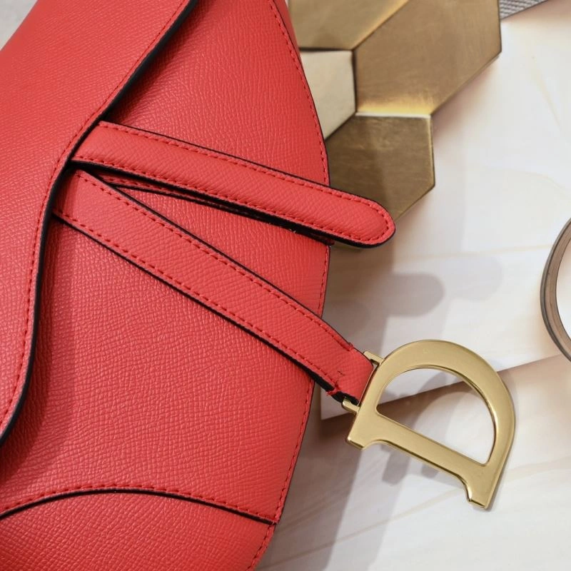 Snug Christian Dior Saddle bags 85686