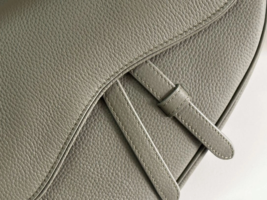 DailyWear Christian Dior Saddle bags 92215