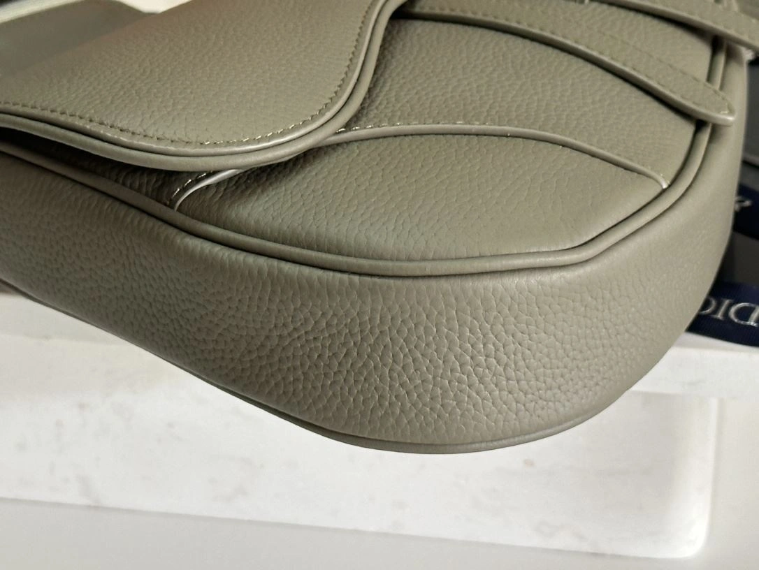 DailyWear Christian Dior Saddle bags 92215