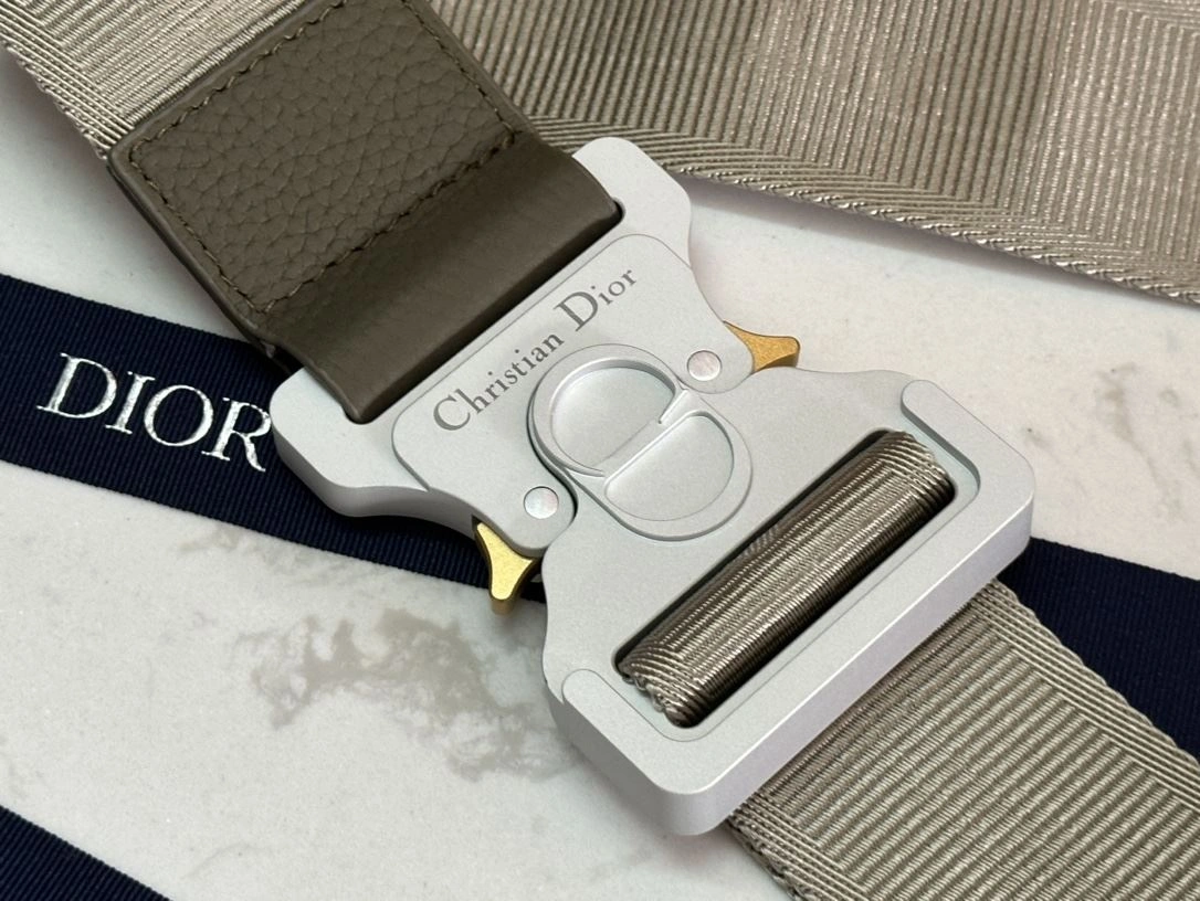 DailyWear Christian Dior Saddle bags 92215