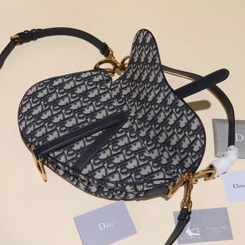Christian Dior Saddle bags DailyWear 46353