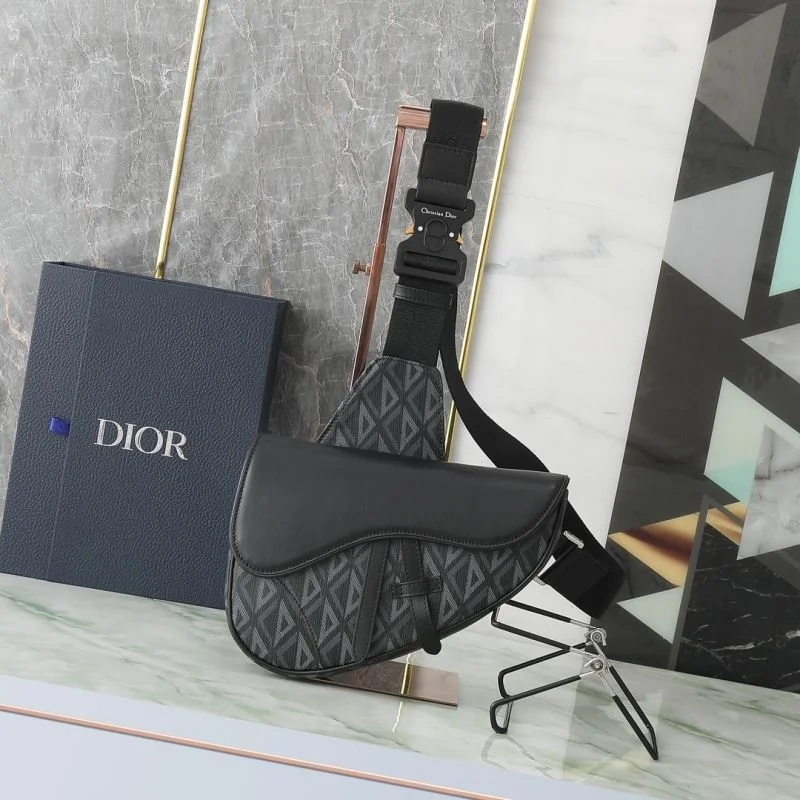 Christian Dior Saddle bags Functional 46362