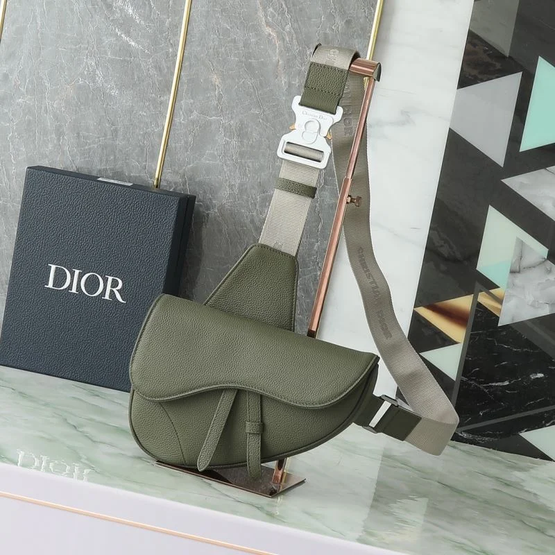 Christian Dior Saddle bags OdorResistant 46356