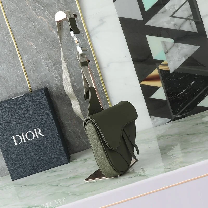 Christian Dior Saddle bags OdorResistant 46356