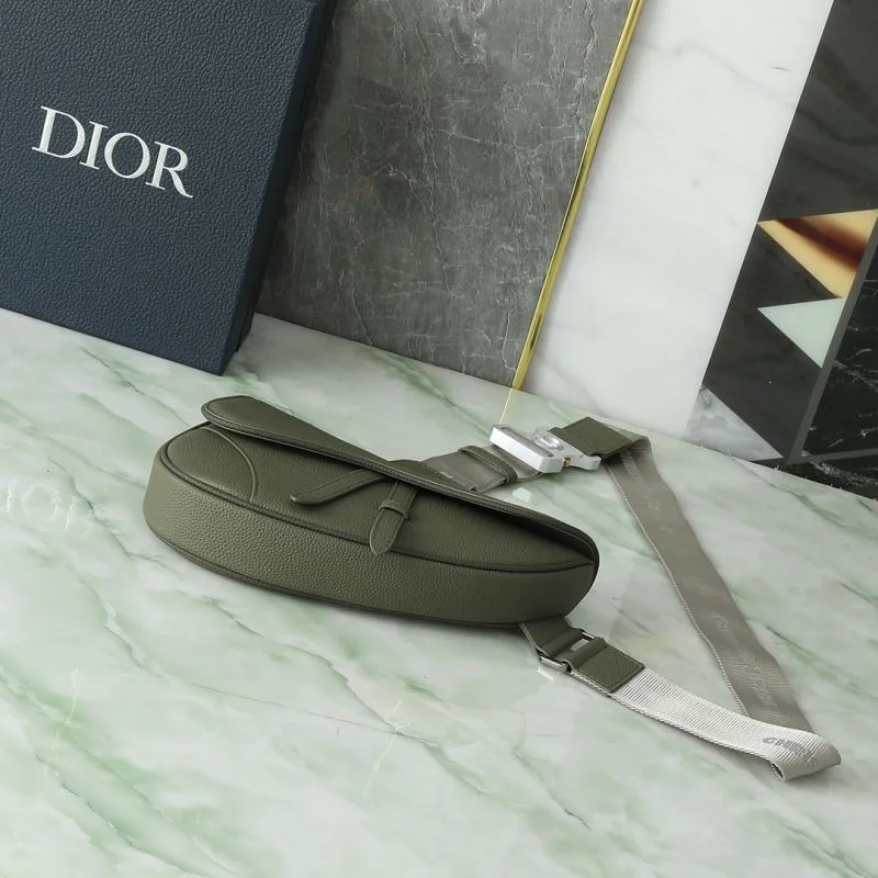Christian Dior Saddle bags OdorResistant 46356
