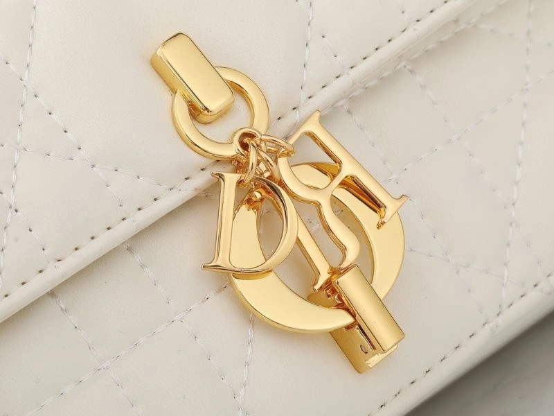 Christian Dior Satchel Bags OdorResistant 87786