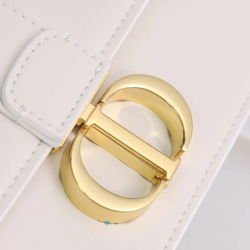 OdorResistant Christian Dior Satchel Bags 85575