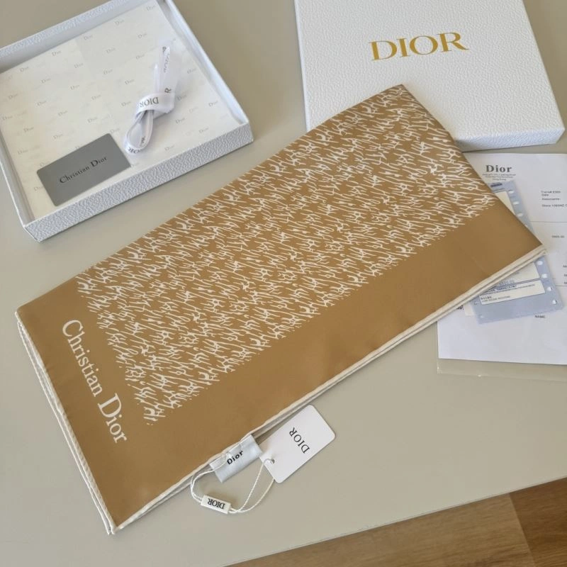 TravelReady Christian Dior Scarf 270739