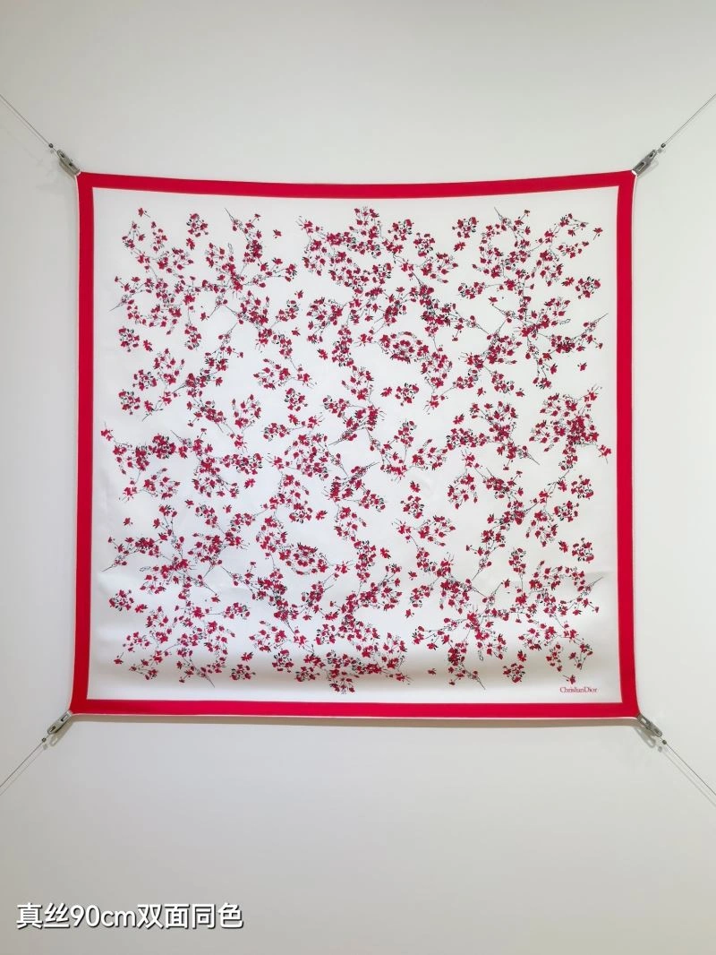 Christian Dior Scarf Affordable 271127