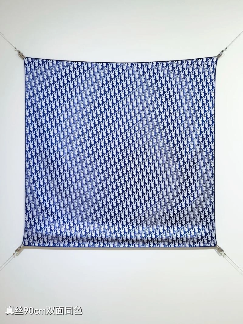 Supportive Christian Dior Scarf 271125