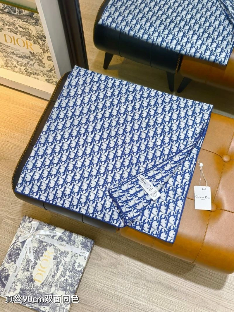 Supportive Christian Dior Scarf 271125