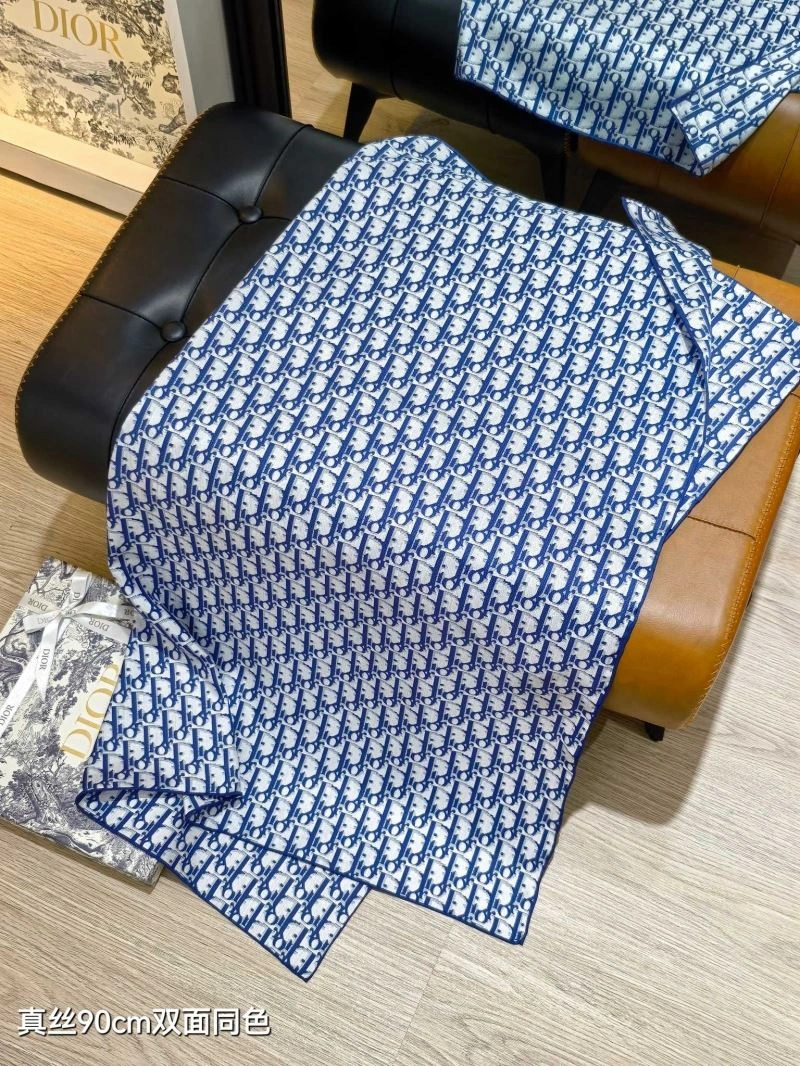 Supportive Christian Dior Scarf 271125