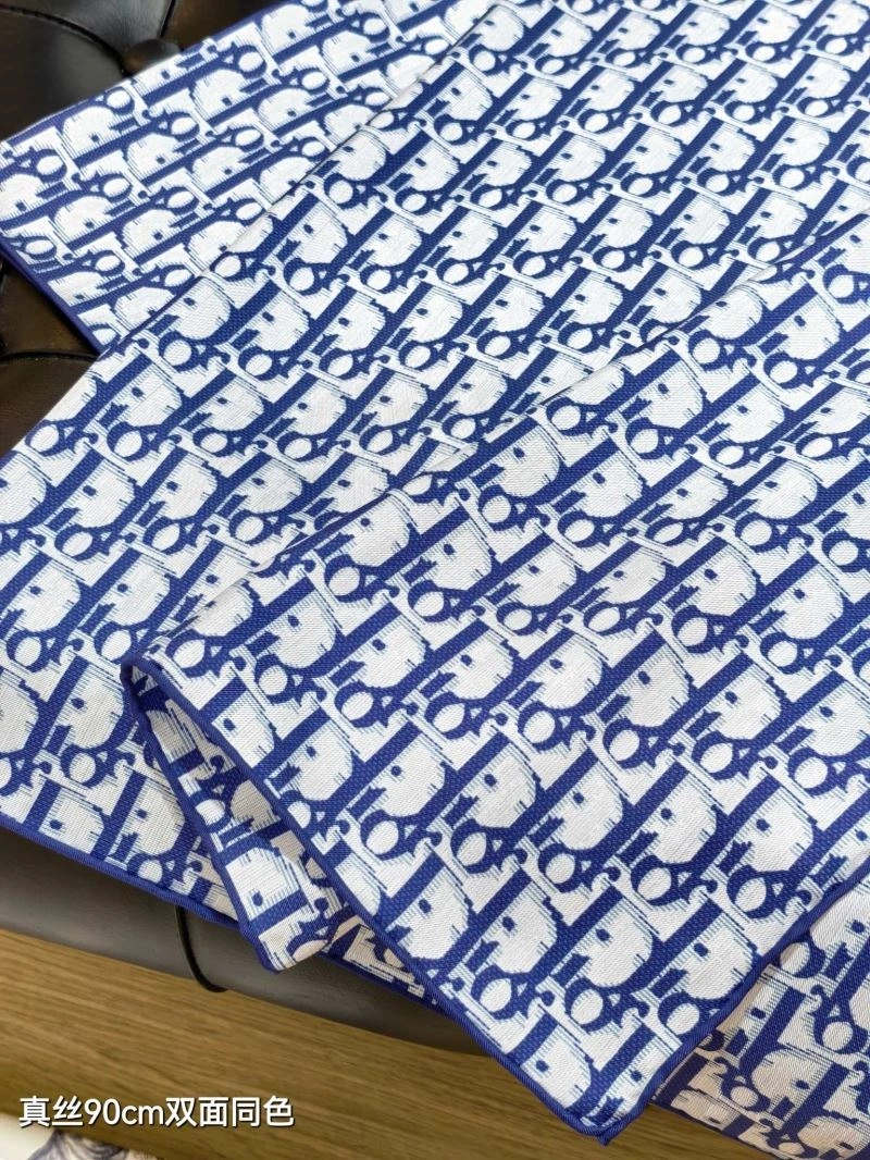 Supportive Christian Dior Scarf 271125