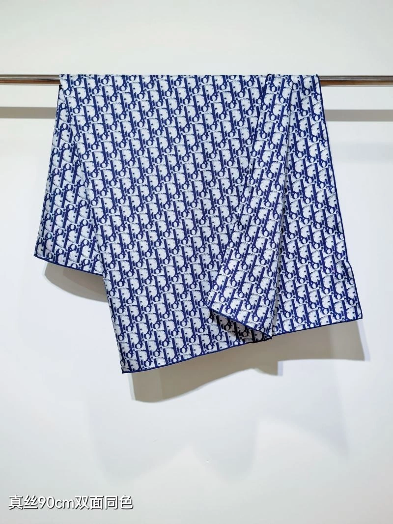 Supportive Christian Dior Scarf 271125