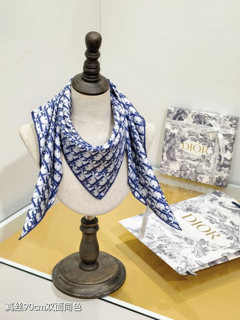 Supportive Christian Dior Scarf 271125