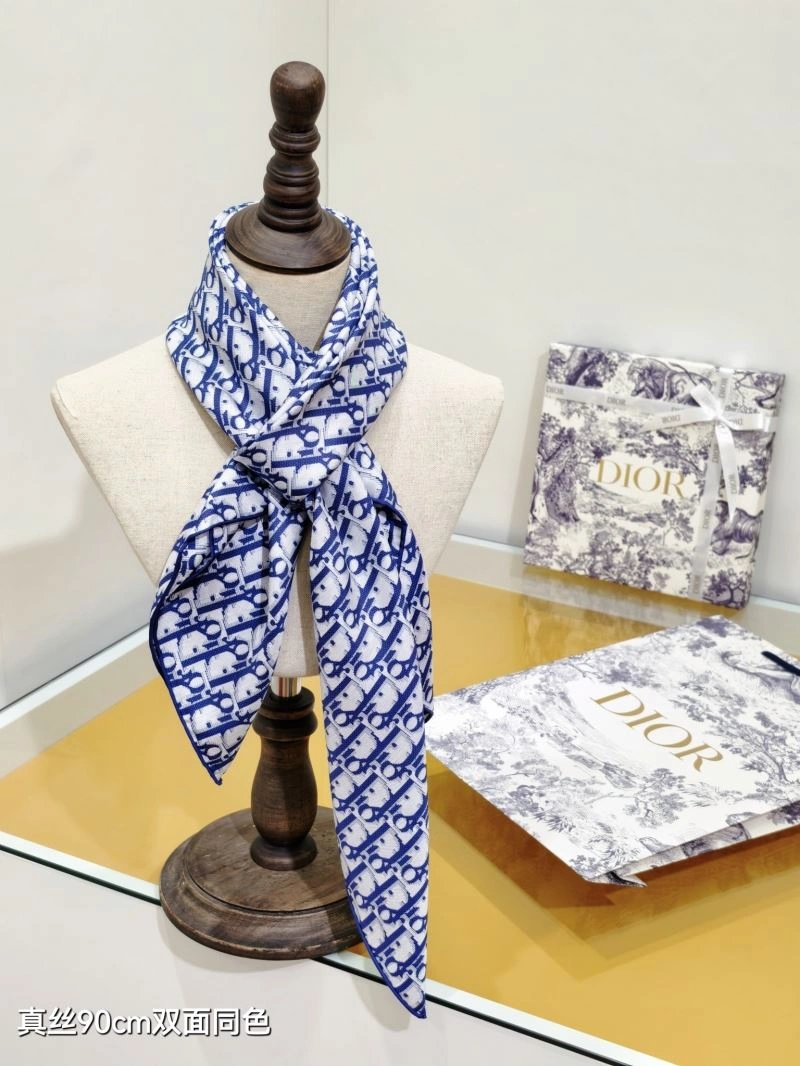 Supportive Christian Dior Scarf 271125