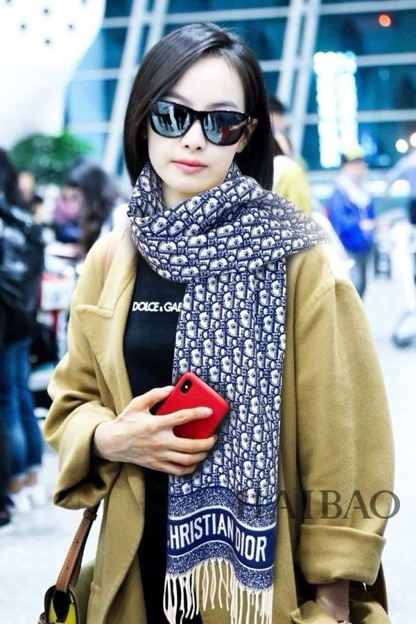 Christian Dior Scarf Comfortable 271142