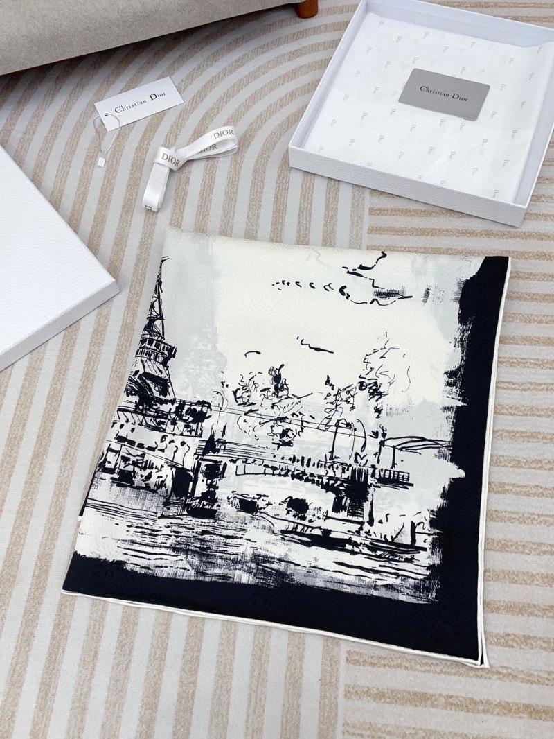Christian Dior Scarf Packable 271139