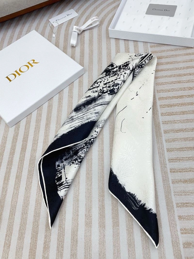 Christian Dior Scarf Packable 271139