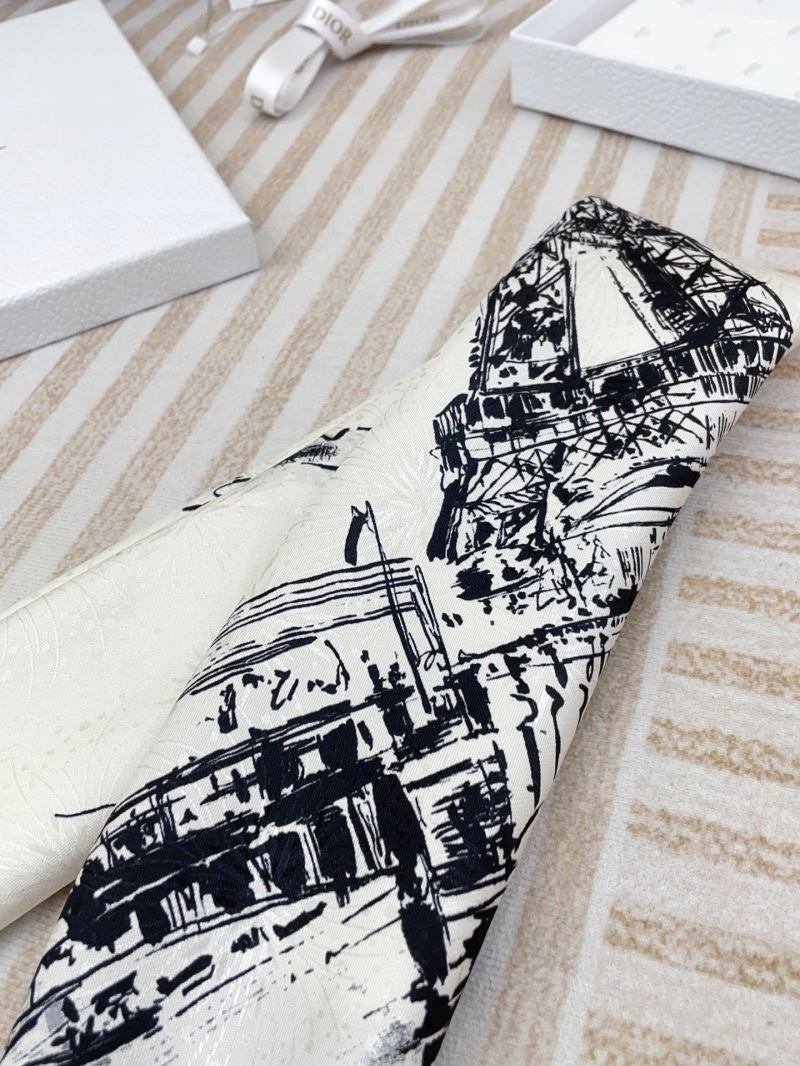 Christian Dior Scarf Packable 271139