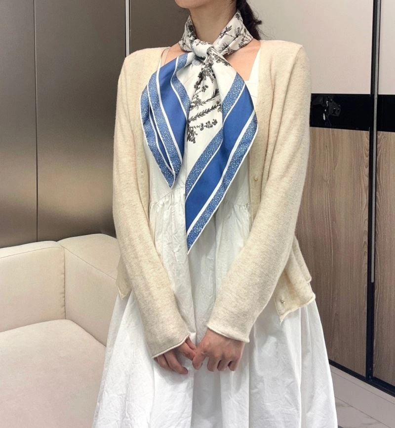 Durable Christian Dior Scarf 271118