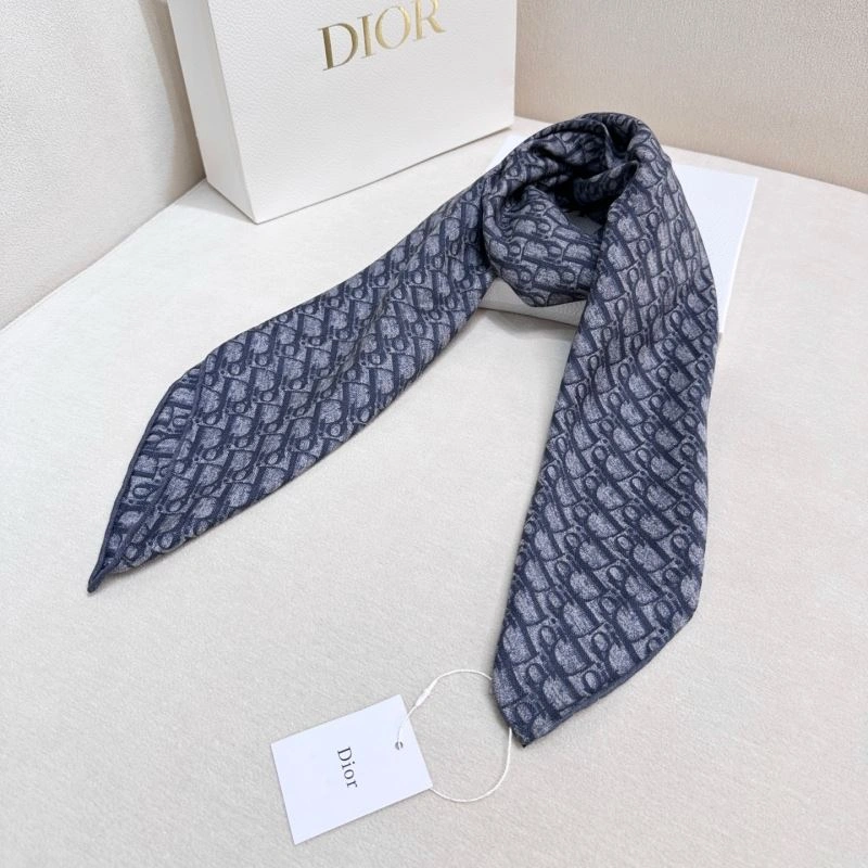 SmartChoice Christian Dior Scarf 271113