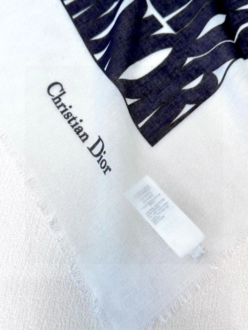 Christian Dior Scarf Functional 271112
