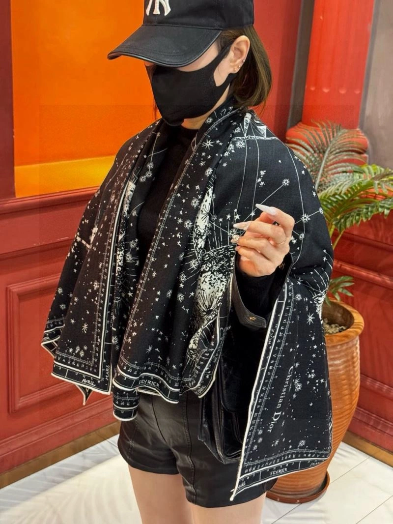 GoAnywhere Christian Dior Scarf 271106