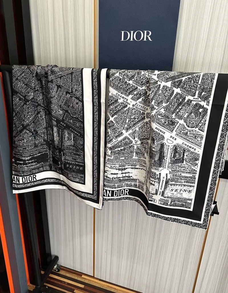Resilient Christian Dior Scarf 271100