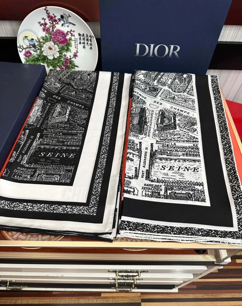 Resilient Christian Dior Scarf 271100
