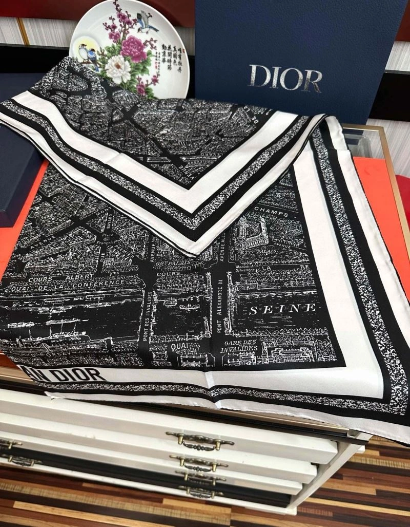 Resilient Christian Dior Scarf 271100