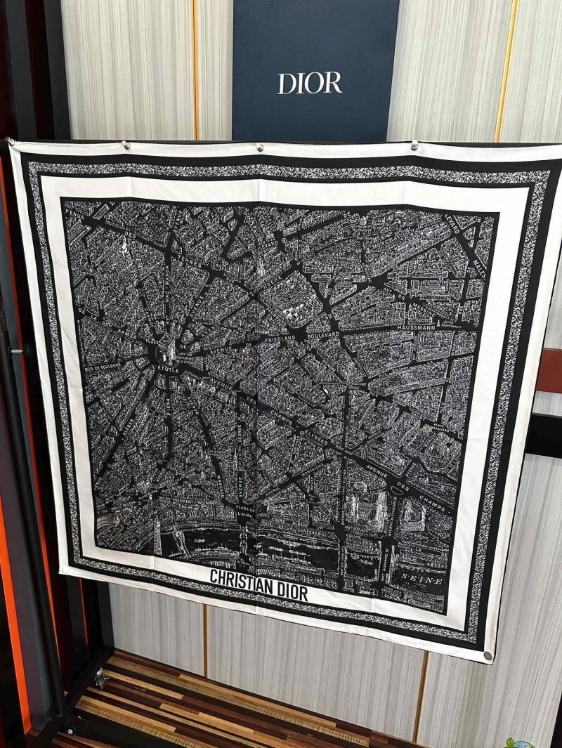 Resilient Christian Dior Scarf 271100