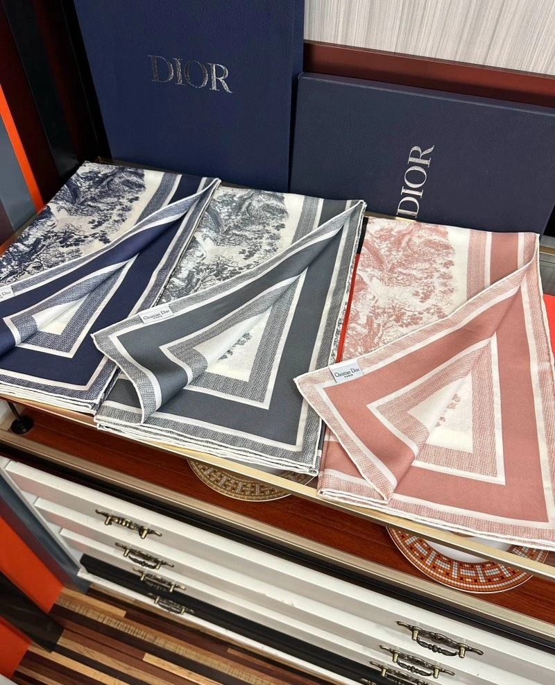 TravelReady Christian Dior Scarf 271881