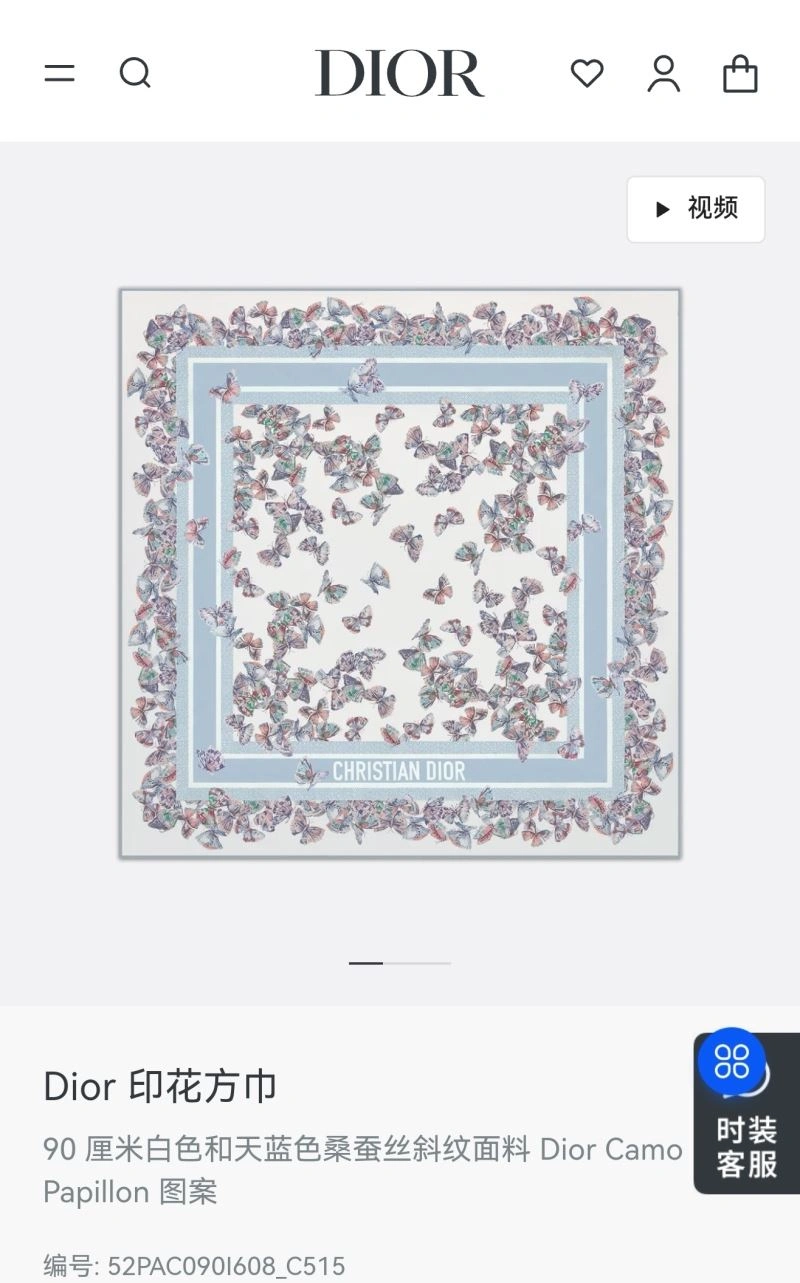 GoAnywhere Christian Dior Scarf 271863