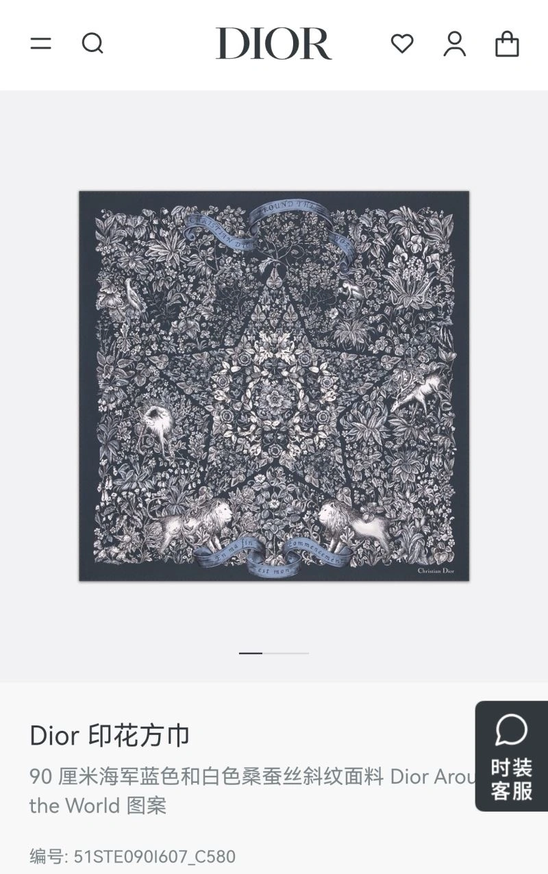 Christian Dior Scarf Durable 271862