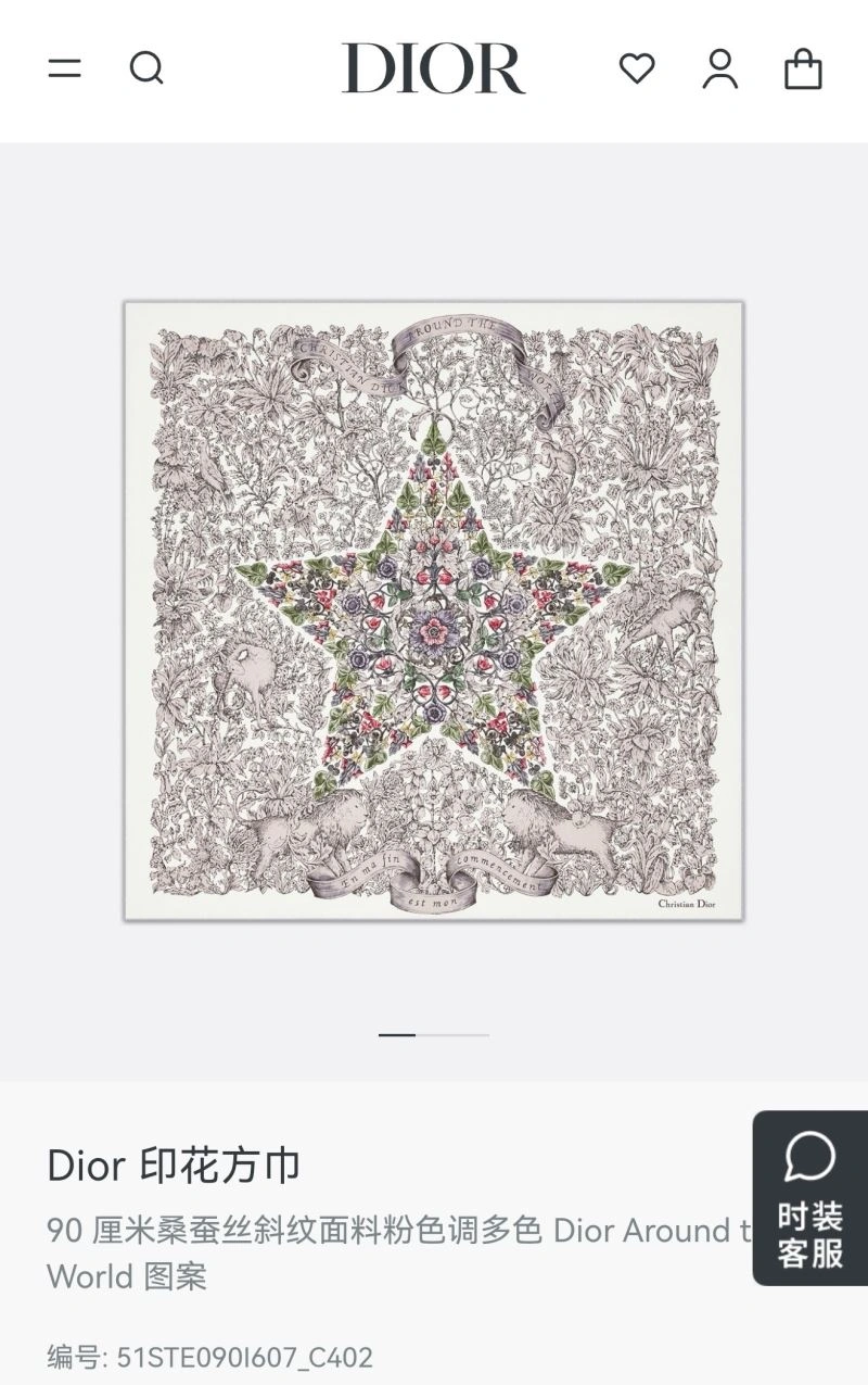 Unique Christian Dior Scarf 271861