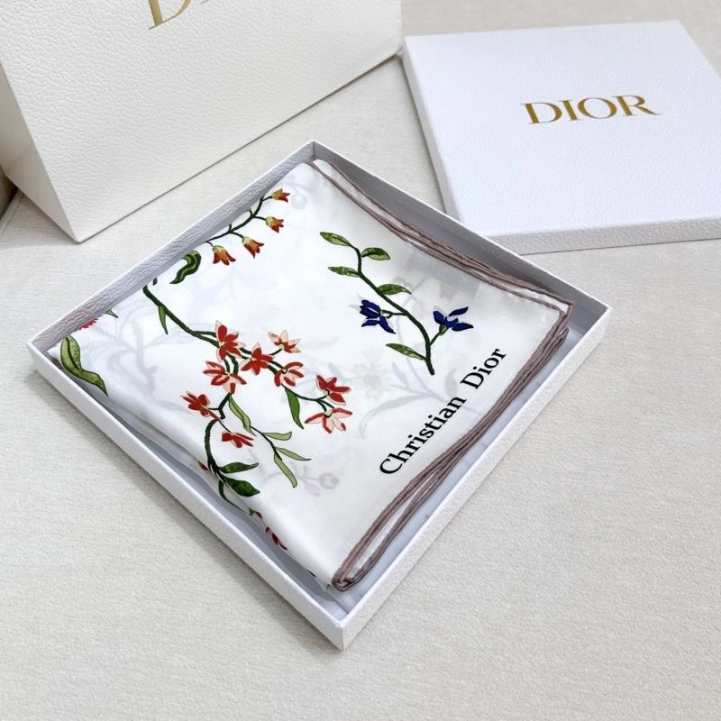 Christian Dior Scarf Functional 271857