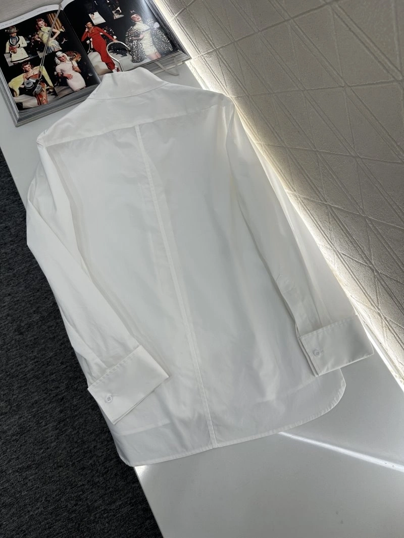 GoAnywhere Christian Dior Shirts 112877