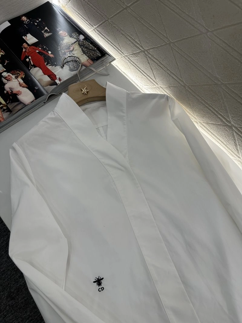 GoAnywhere Christian Dior Shirts 112877