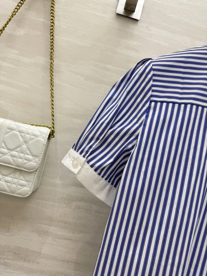Trendy Christian Dior Shirts 113467