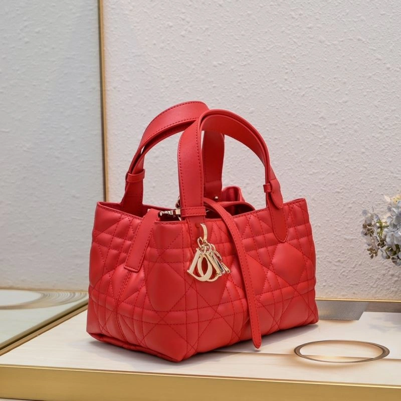 Classic Christian Dior Shopping Bags 87722