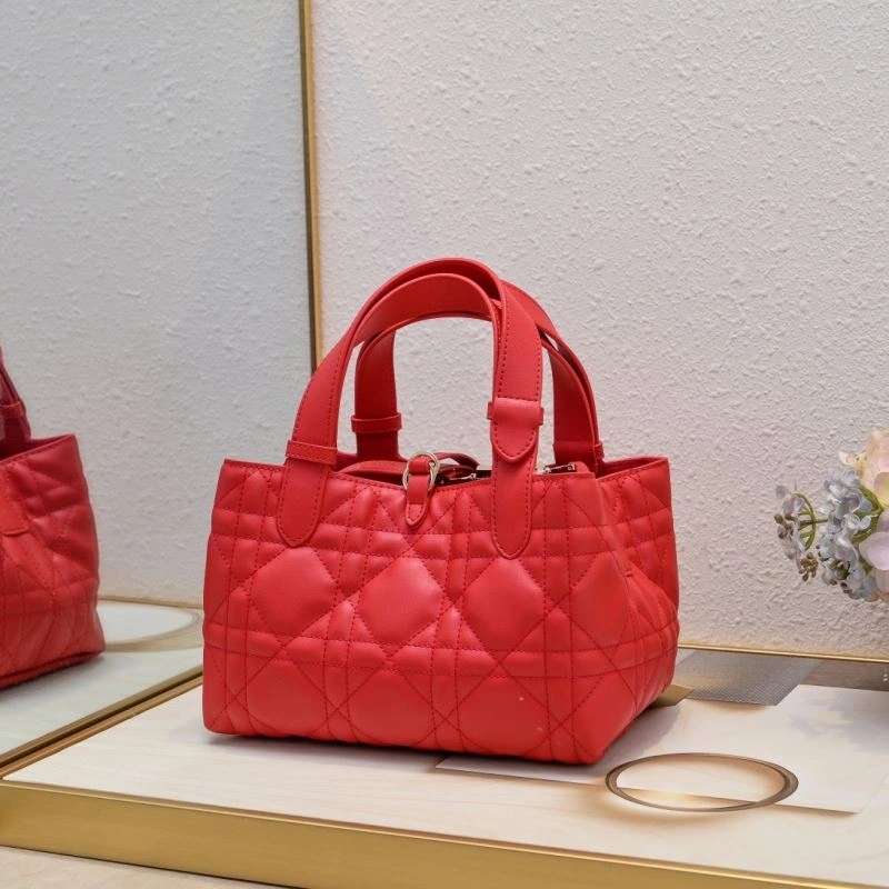 Classic Christian Dior Shopping Bags 87722