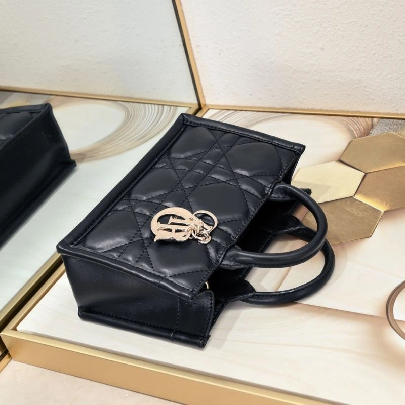 Comfortable Christian Dior Shopping Bags 87663