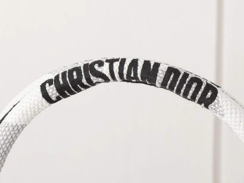 HighQuality Christian Dior Shopping Bags 87658