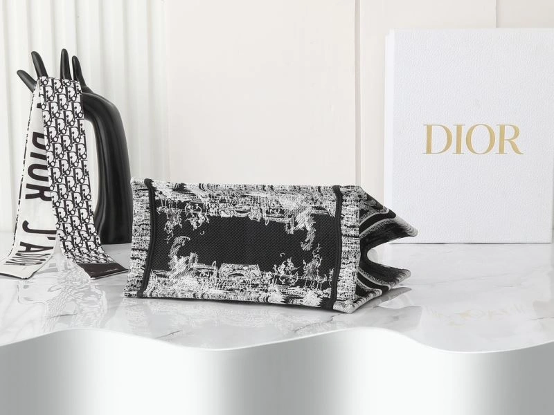 OdorResistant Christian Dior Shopping Bags 87689