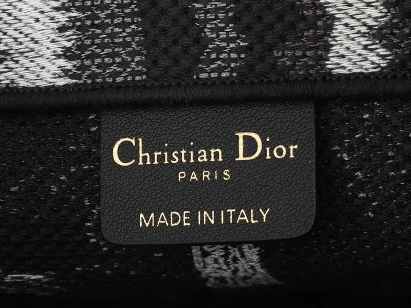 OdorResistant Christian Dior Shopping Bags 87689