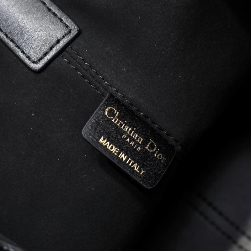 Trendsetting Christian Dior Shopping Bags 87625